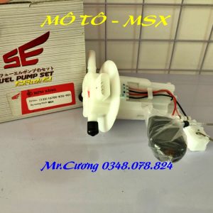 Bộ bơm xăng xe MSX