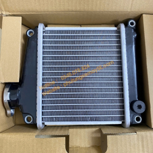 Két tản nhiệt Lead 110 (2010-2013)