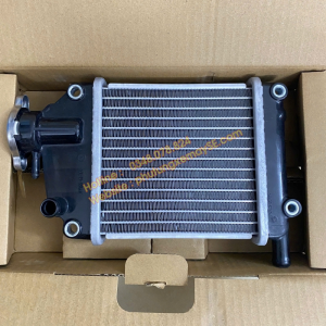 Két tản nhiệt Air Blade 110 (2007-2012)